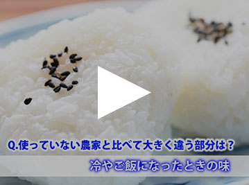 献上米「王冠」