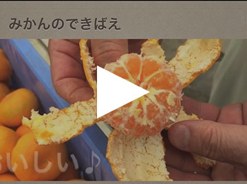 大分市の幼児バレエ教室