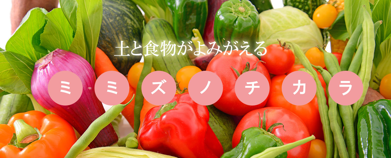 土と食物がよみがえる